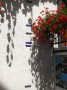 Thumbs/tn_Vakantie 2016 029.jpg